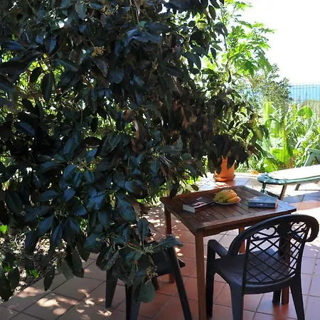 Casa Las Palmitas Valle Gran Rey