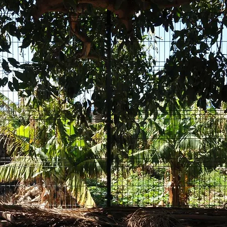 Casa Las Palmitas Lägenhet *