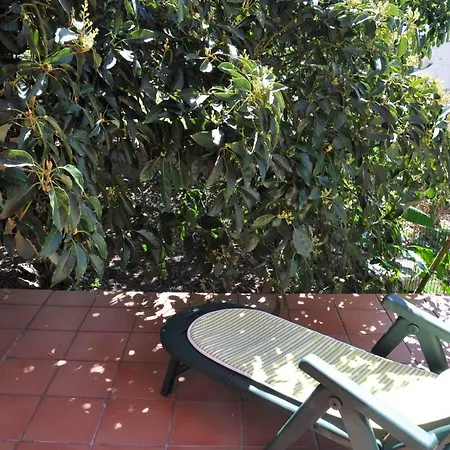 Casa Las Palmitas Lägenhet *