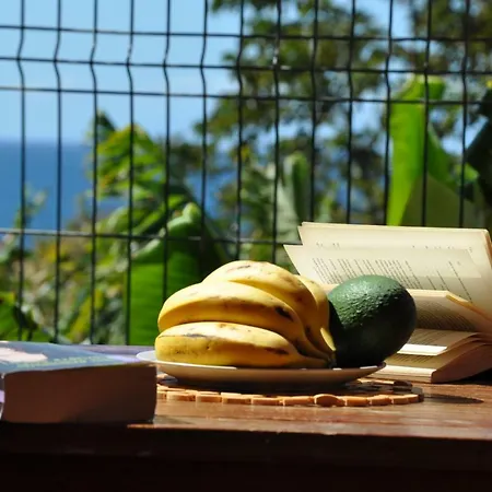 Casa Las Palmitas Lägenhet