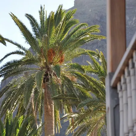 Casa Las Palmitas Lägenhet Valle Gran Rey
