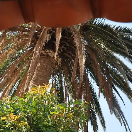 Casa Las Palmitas * Valle Gran Rey