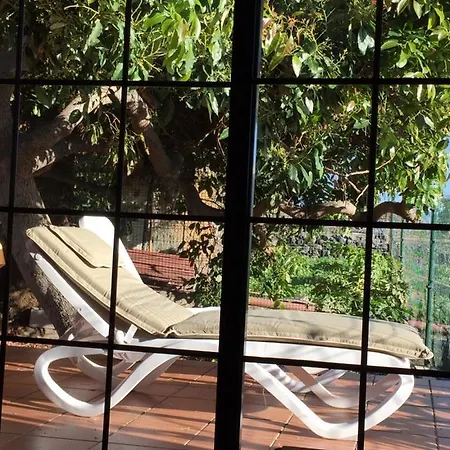 Casa Las Palmitas *
